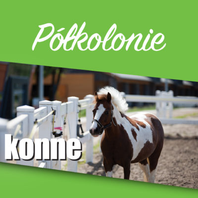 konne konne