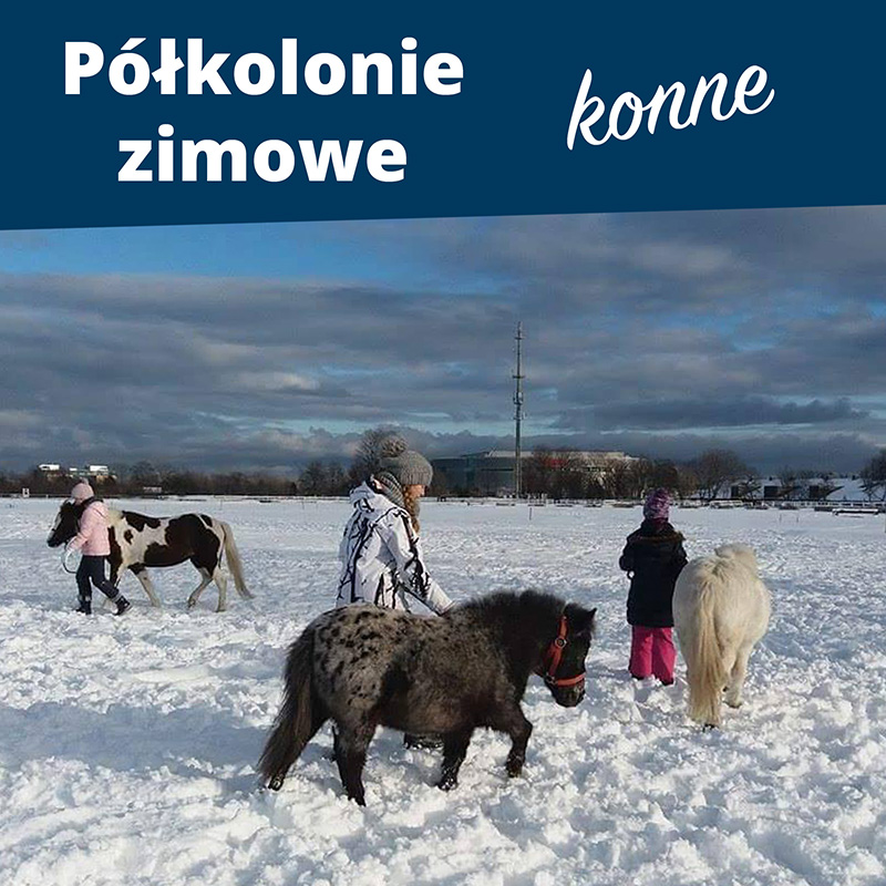 Półkolonie zimowe 2019 w Siodle